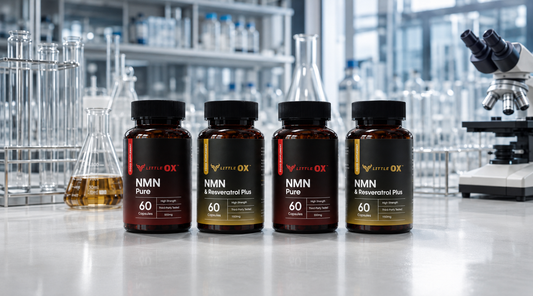 Little Ox — doctor-designed UK supplements