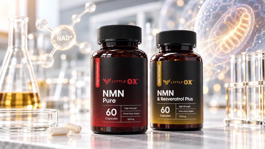 Little Ox NMN Pure and NMN Plus bottles in an illustrated laboratory with NAD+ and cellular imagery