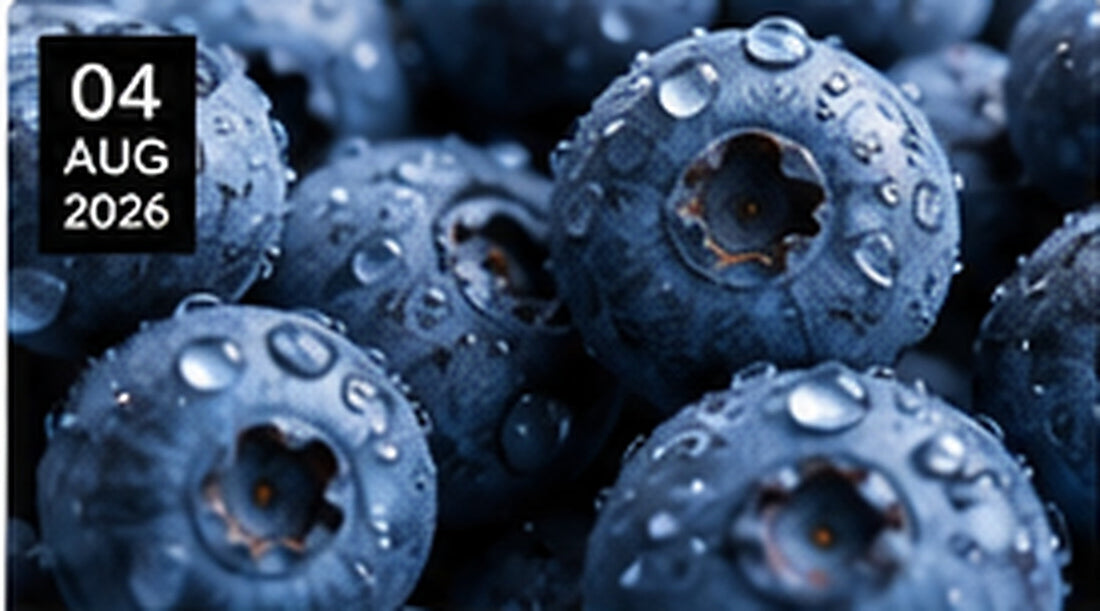 Cellular oxidative stress and antioxidant concept